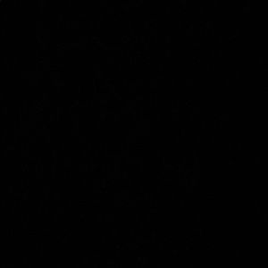 Meet your Posher, Francisco